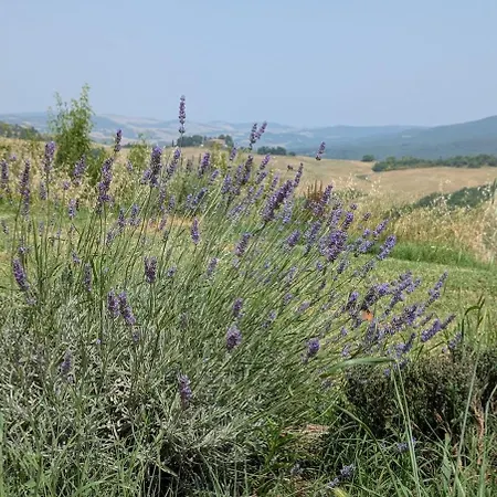 Catignano A6 - Modern Unit, Scenic Volterra Hills Mazzolla